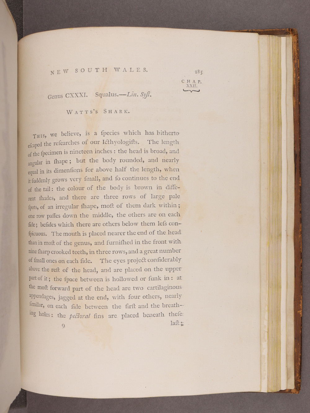 Page 285